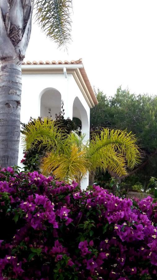 Queen Palm Luz Exterior foto