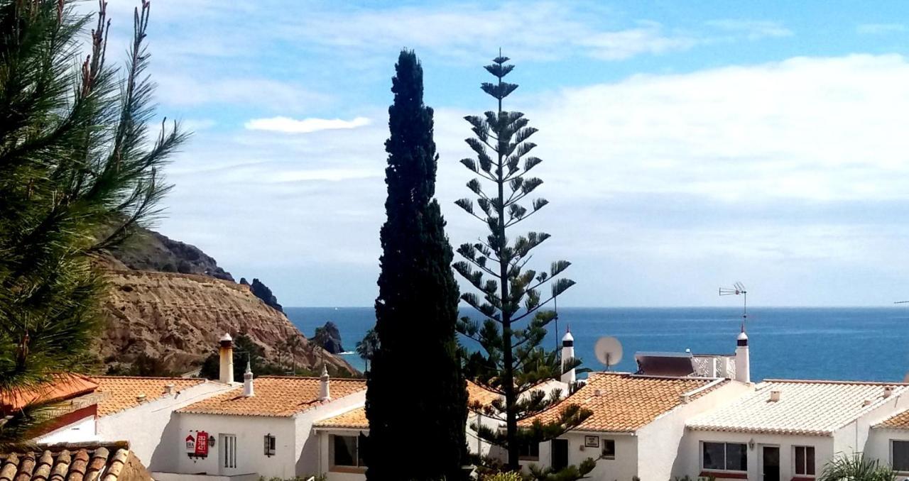 Queen Palm Luz Exterior foto